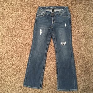 Lane Bryant bootcut distressed jeans 16 Tall